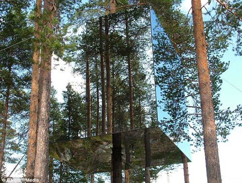 Khách sạn trên cây độc đáo ở Thụy Điển